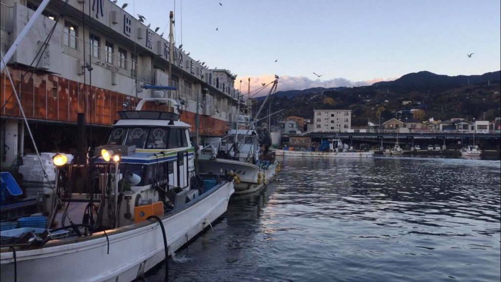 Experience a Japanese Fish Market from Hakone